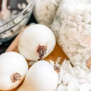 Frozen Onion (48)-3750768-37643.webp